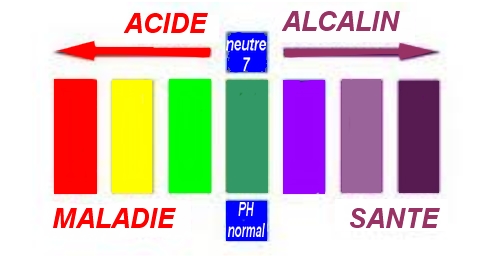 e72c52_d9a73e354753454f9a96cbbf9d29c6c7